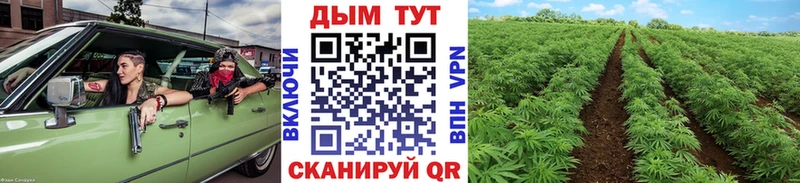 Наркошоп Сретенск СК  Меф  Псилоцибиновые грибы  COCAIN  Марихуана 