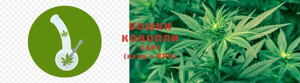тгк Волосово