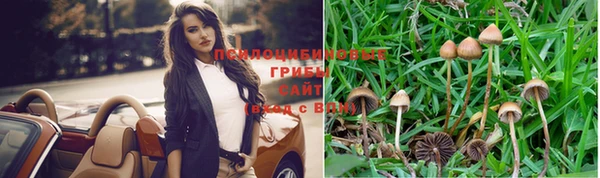 мяу мяу мука Волоколамск