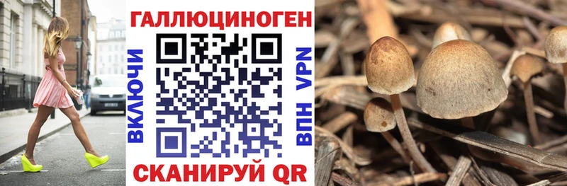 Псилоцибиновые грибы мицелий  Сретенск 